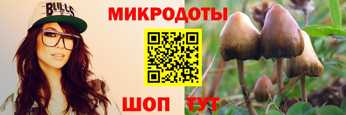 Чусовой  Галлюциногенные грибы GOLDEN TEACHER  Вход с VPN 