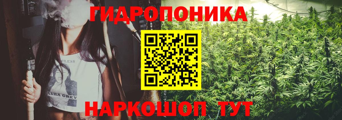 Конопля конопля Чусовой